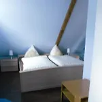 Baumann *