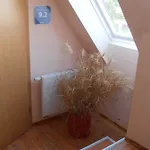 Apartment Baumann Schwarzenberg (Saxony)