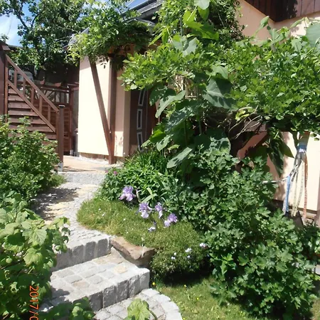 Baumann * Schwarzenberg/Erzgebirge