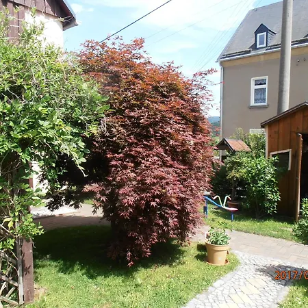 Baumann Schwarzenberg/Erzgebirge