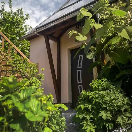 Baumann Апартаменты